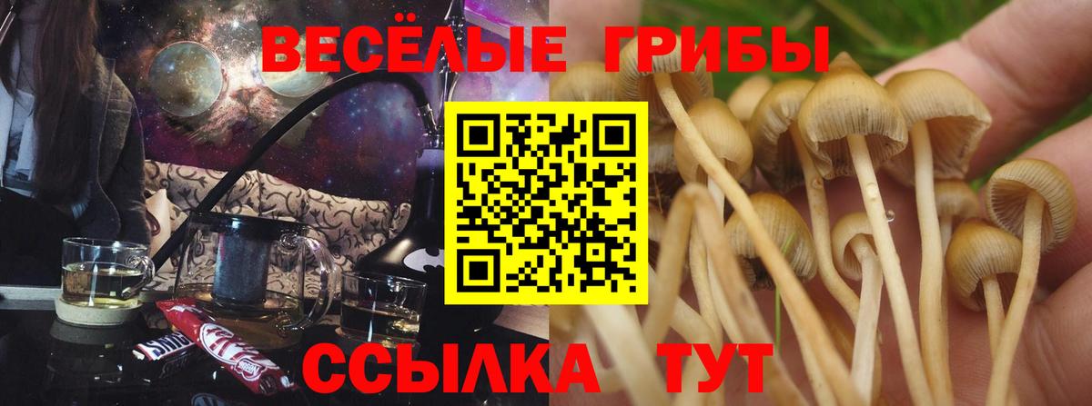 Псилоцибиновые грибы мухоморы  Галлюциногенные грибы Psilocybe  Вход с VPN  Шахты 