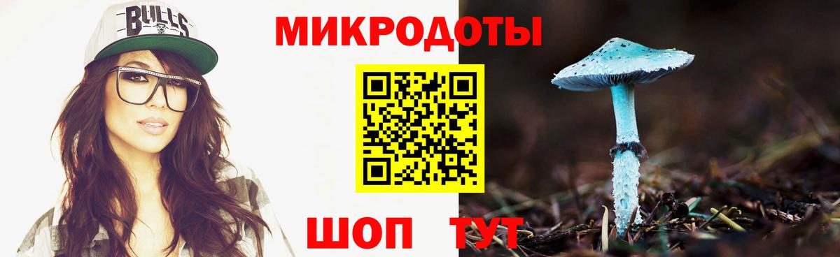 Галлюциногенные грибы Psilocybe Шахты